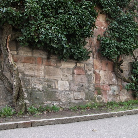 Entlang der ehemaligen Stadtmauer - Kohlenberg 3 - Foto von Franz König. Vergrösserte Ansicht