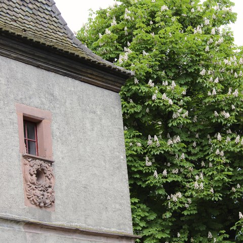 Turm Stadtmauer Letzi - Foto von Franz König. Vergrösserte Ansicht