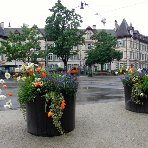 Gundeldingen - Tellplatz 3 Foto von Franz König. Vergrösserte Ansicht