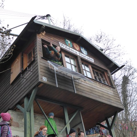Vogel Gryff 2016. Foto 4 von Daniel Aeschbach.. Vergrösserte Ansicht