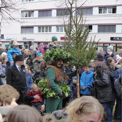 Vogel Gryff 2016. Foto 12 von Daniel Aeschbach.. Vergrösserte Ansicht